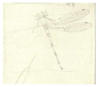 Visualizza l'immagine "FD D 1894"